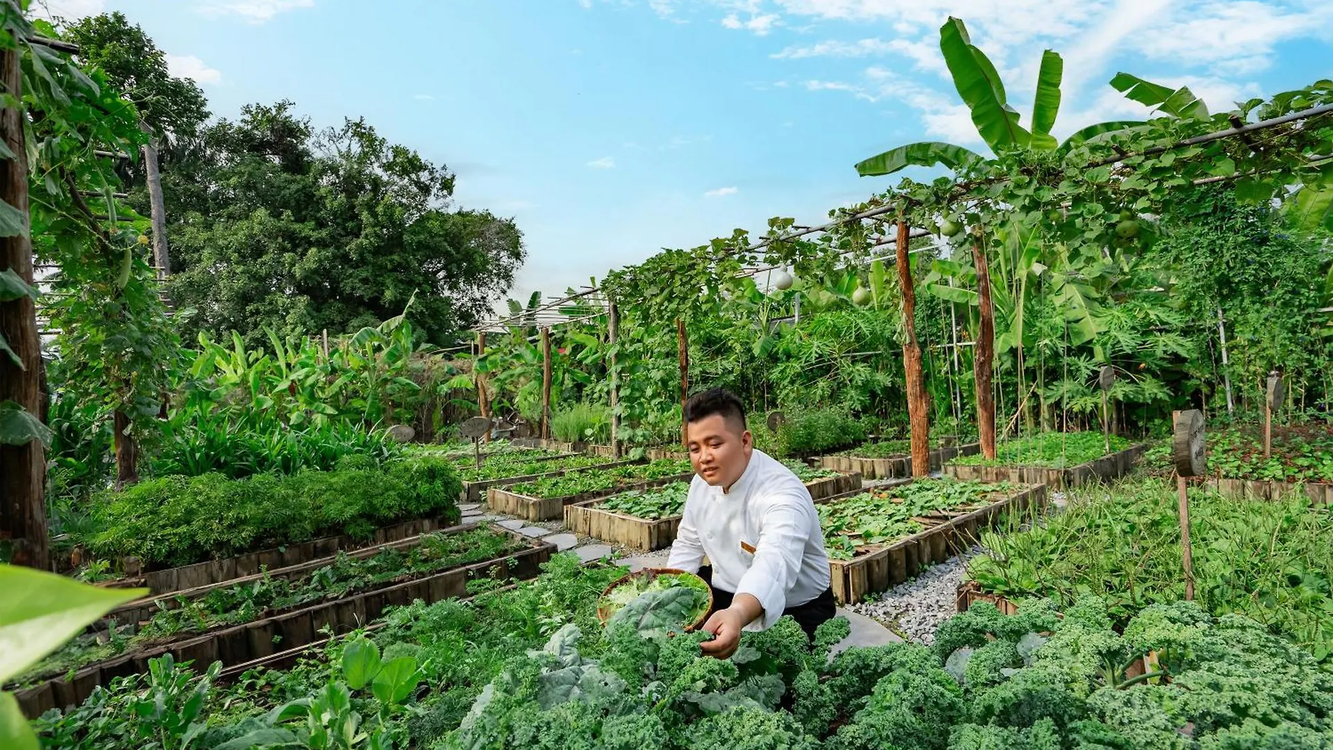 An Lam Retreats Saigon River Ho Chi Minh City